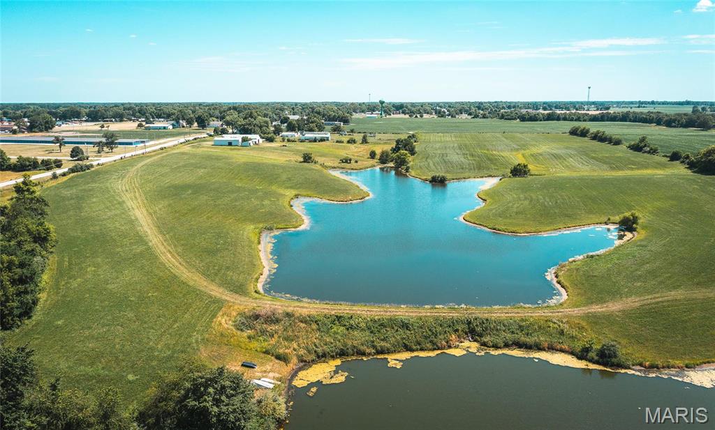 0 West City Limits Road Brighton, IL 62012 - Photo 10 of 29