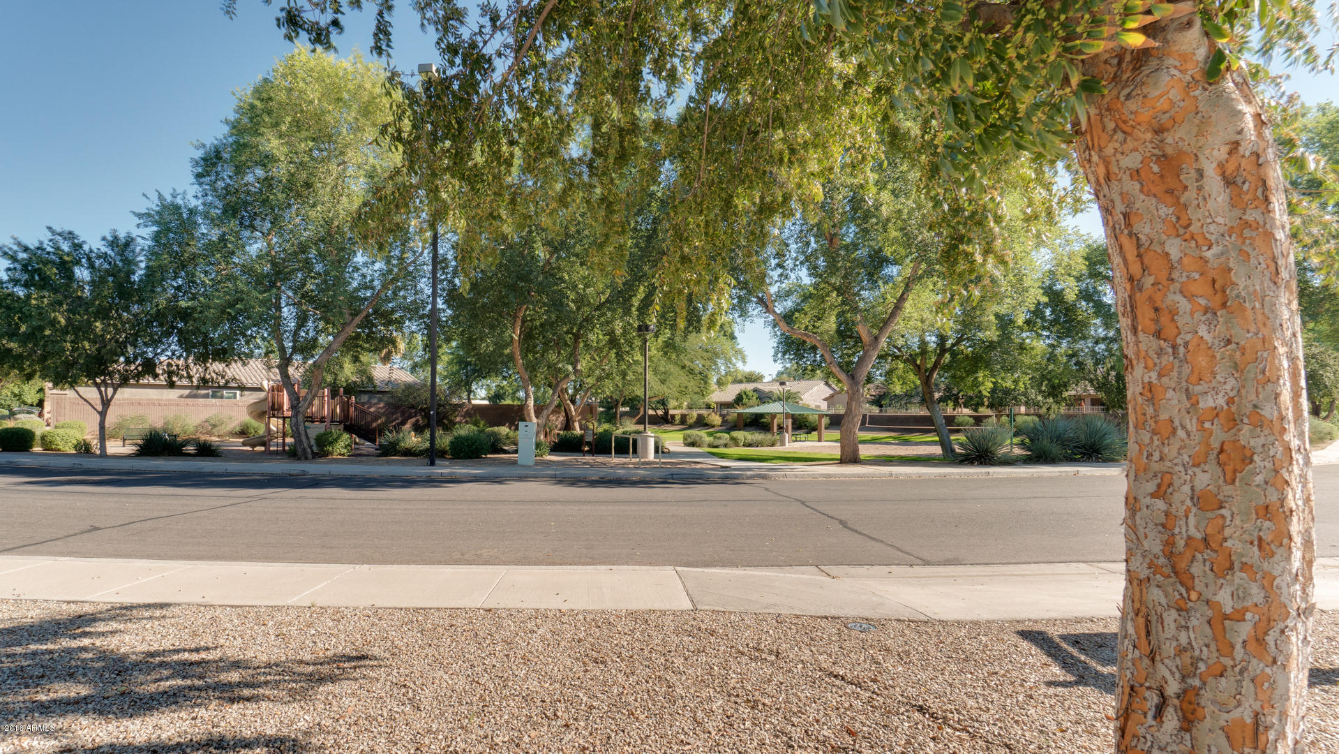 3268 East Attleboro Road Gilbert, AZ 85295 - Photo 47 of 47 3268 E Attleboro Rd-6