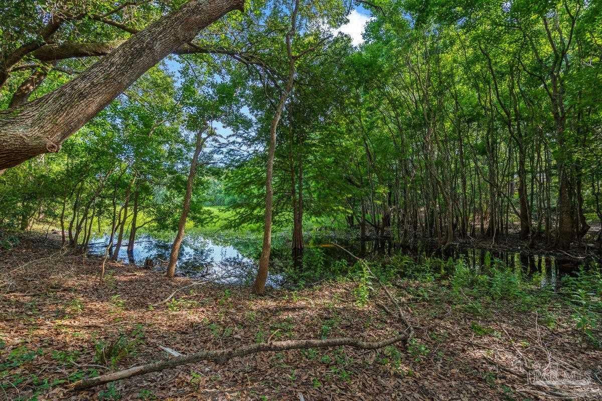 513 Timber Ridge Drive Pensacola, FL 32534 - Photo 61 of 69