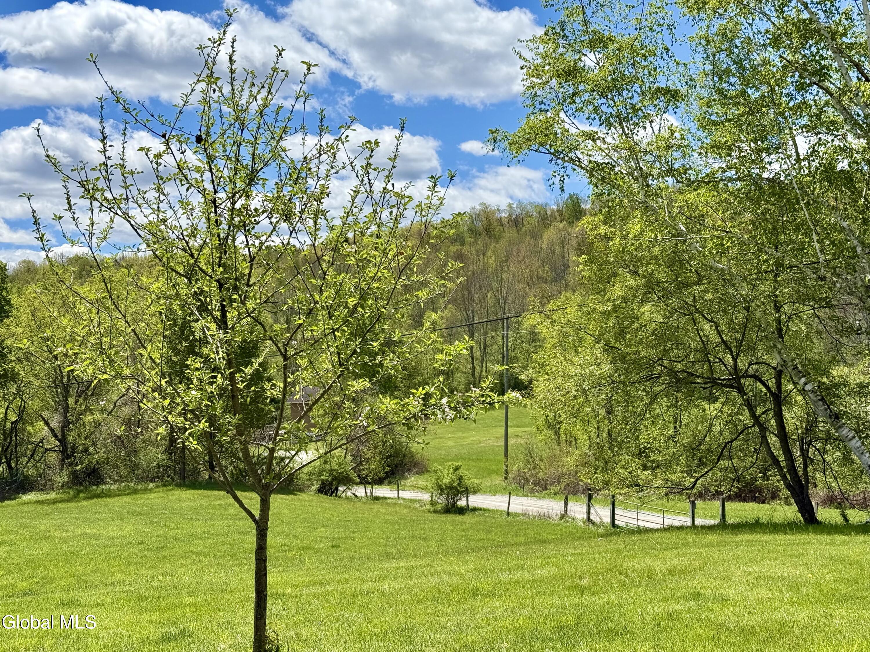 234 South Grimes Hill Road Hebron, NY 12832 - Photo 63 of 67 IMG_6836