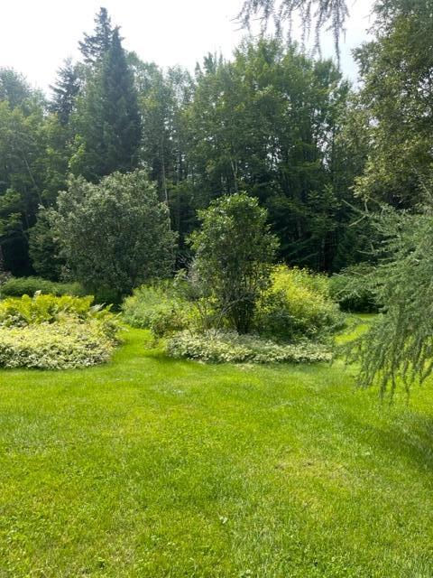876 Baie Creue Road St. David, ME 04773 - Photo 89 of 96 IMG_0568