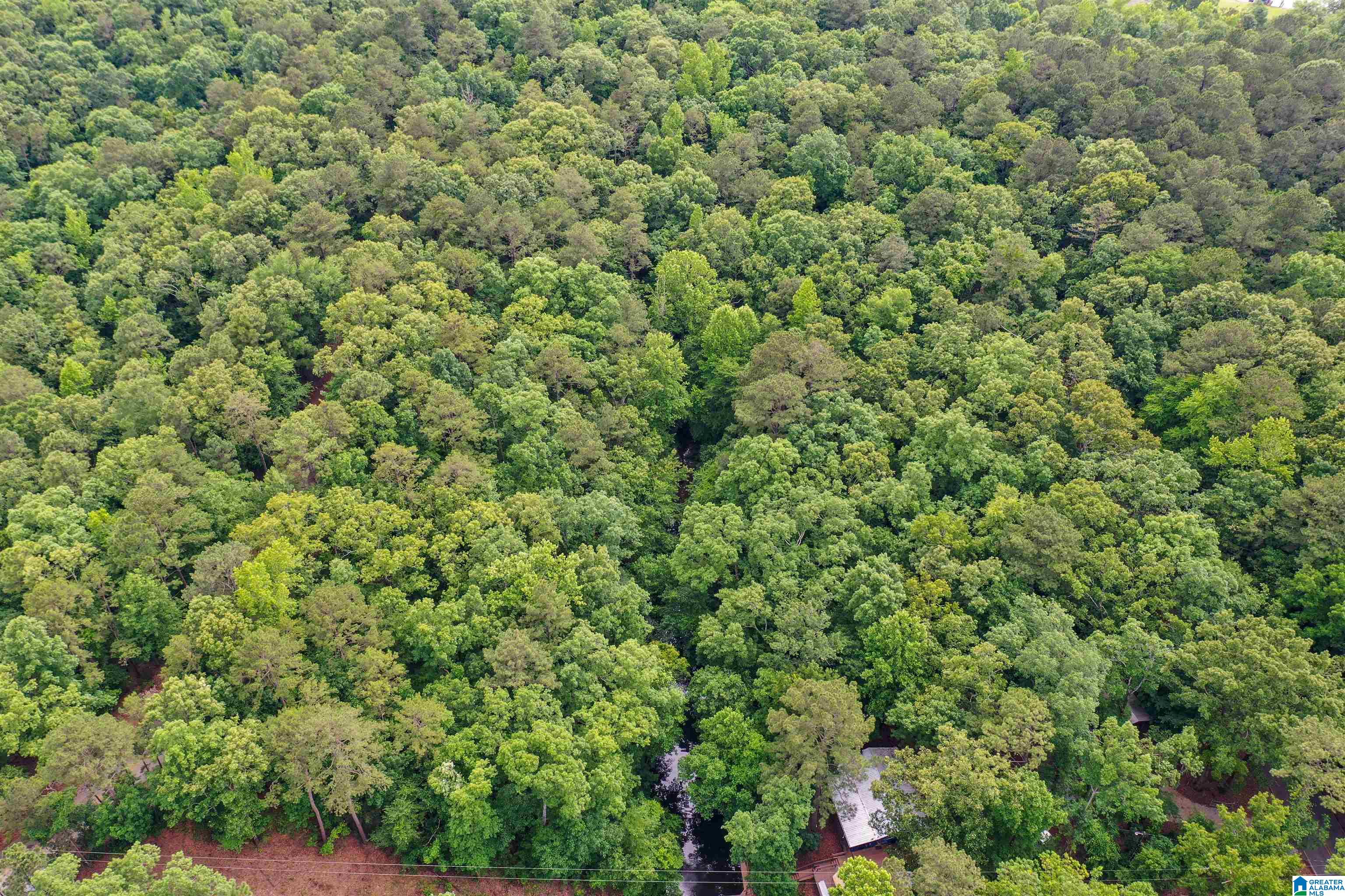 River Drive, Unit 33 Shelby, AL 35143 - Photo 19 of 25