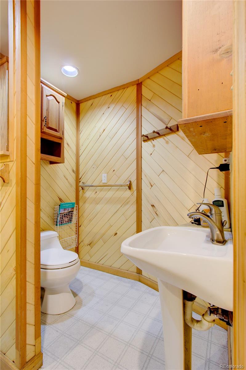 29065 Pine Road Evergreen, CO 80439 - Photo 29 of 33 Gallery Image 29