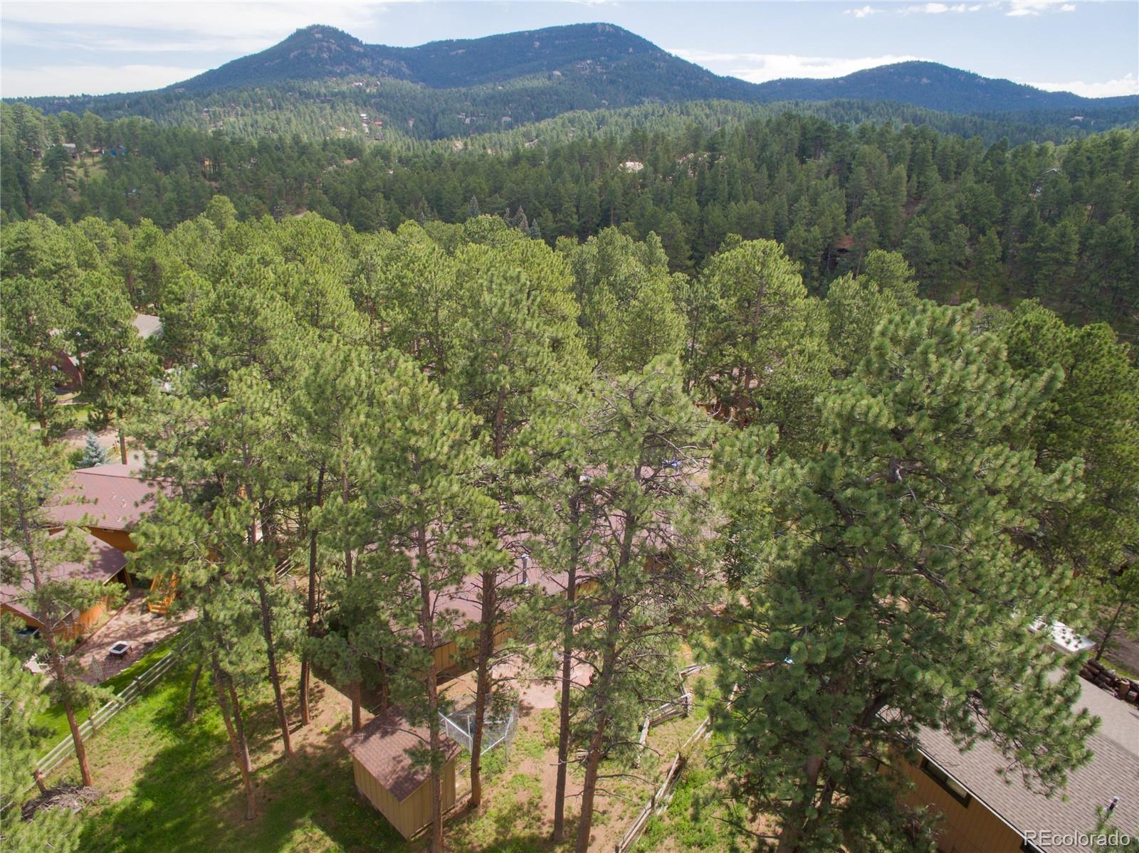 29065 Pine Road Evergreen, CO 80439 - Photo 3 of 33 Gallery Image 3