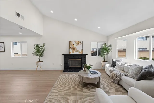 a living room with furniture and a potted plant
