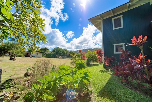 4451 Mahimahi Road Hanalei, HI 96714 - Photo 21 of 25