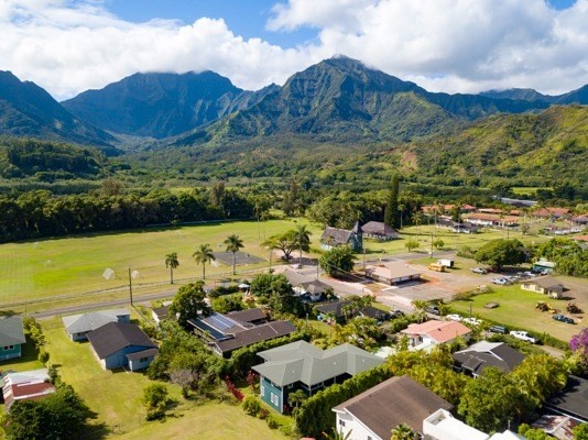 4451 Mahimahi Road Hanalei, HI 96714 - Photo 23 of 25 a view of a city with mountains in the background