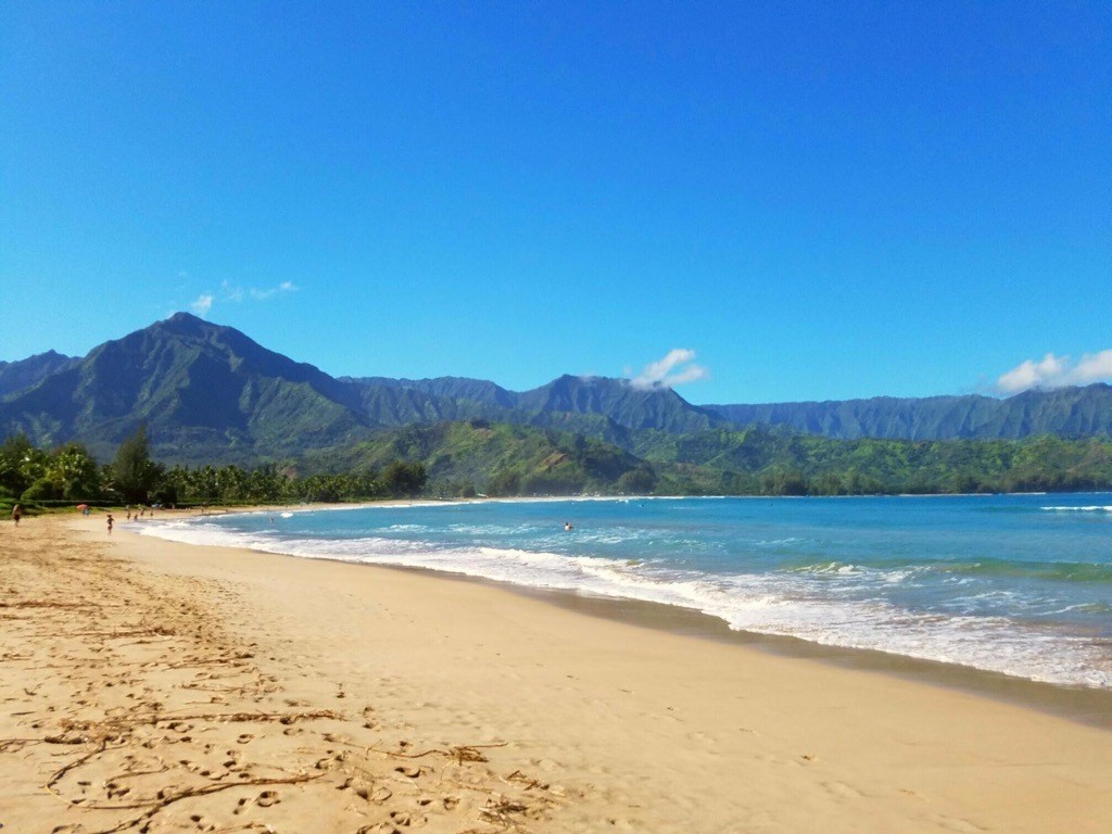 4451 Mahimahi Road Hanalei, HI 96714 - Photo 25 of 25 a view of an ocean and a mountain