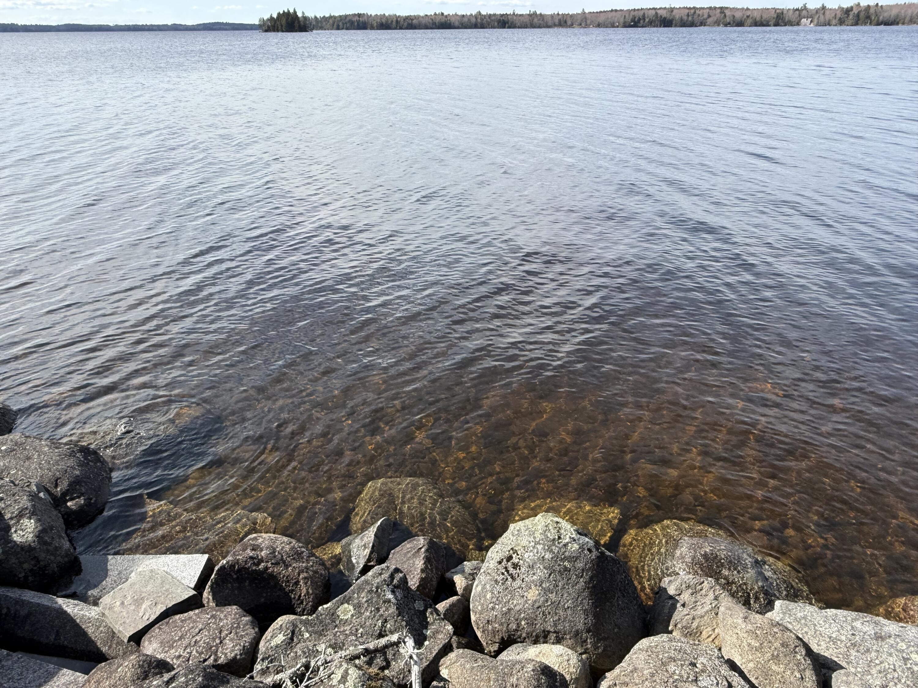 3 East Shore Road Whiting, ME 04691 - Photo 3 of 33 IMG_7570