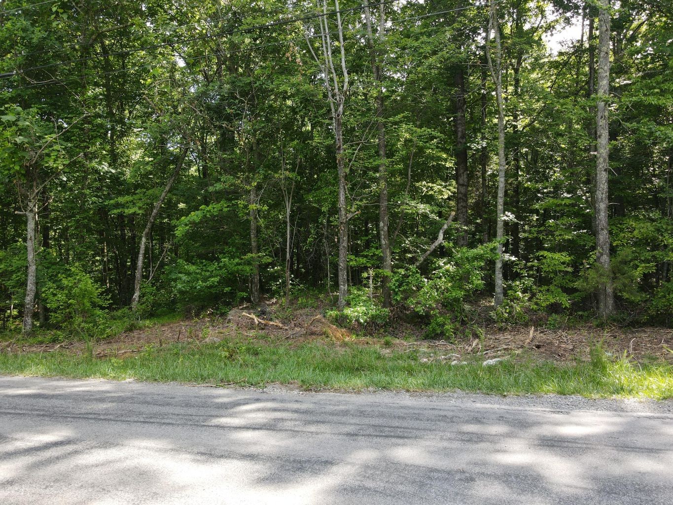 3 Jackson Point Road Sewanee, TN 37375 - Photo 1 of 26 Gallery Image 1