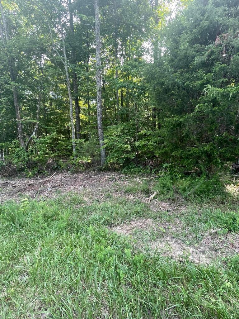 3 Jackson Point Road Sewanee, TN 37375 - Photo 13 of 26 Gallery Image 13