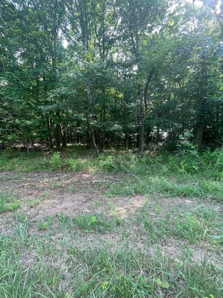 3 Jackson Point Road Sewanee, TN 37375 - Photo 14 of 26 Gallery Image 14
