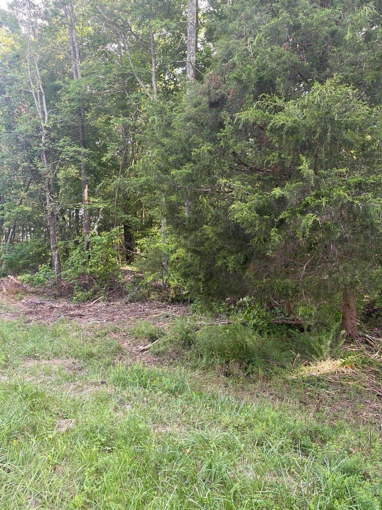 3 Jackson Point Road Sewanee, TN 37375 - Photo 15 of 26 Gallery Image 15