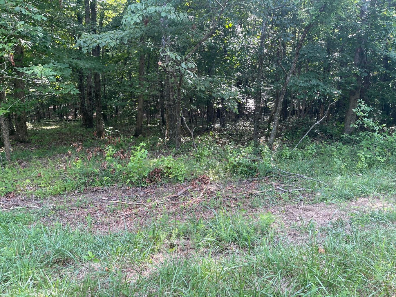 3 Jackson Point Road Sewanee, TN 37375 - Photo 17 of 26 Gallery Image 17