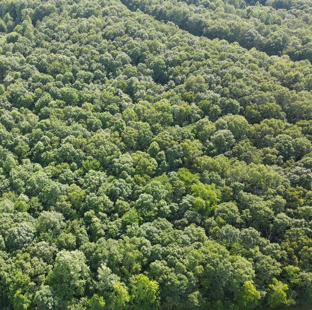 3 Jackson Point Road Sewanee, TN 37375 - Photo 18 of 26 Gallery Image 18