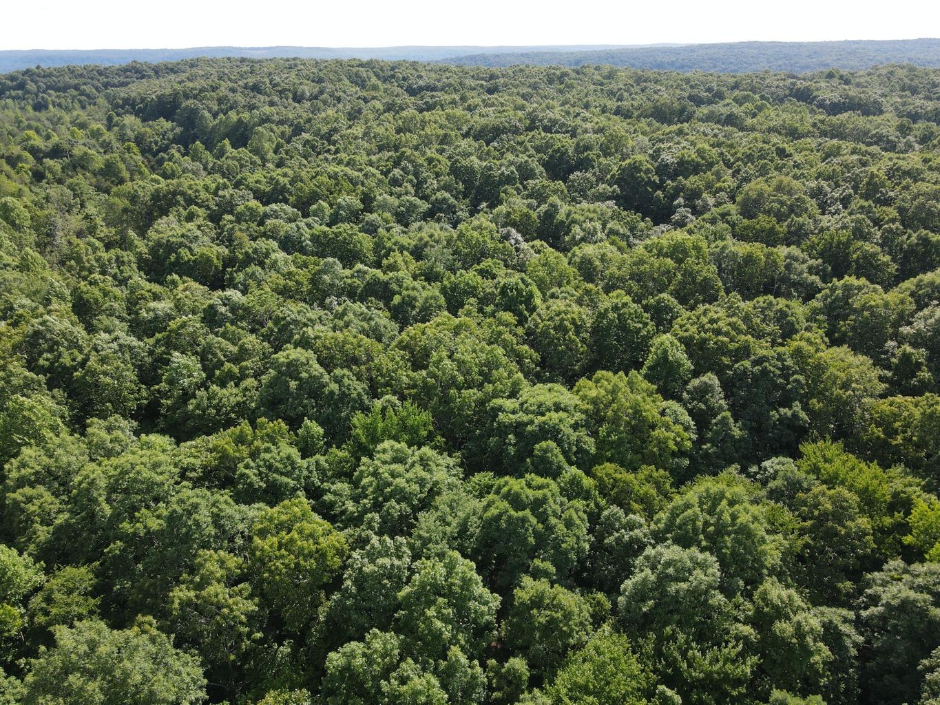 3 Jackson Point Road Sewanee, TN 37375 - Photo 19 of 26 Gallery Image 19