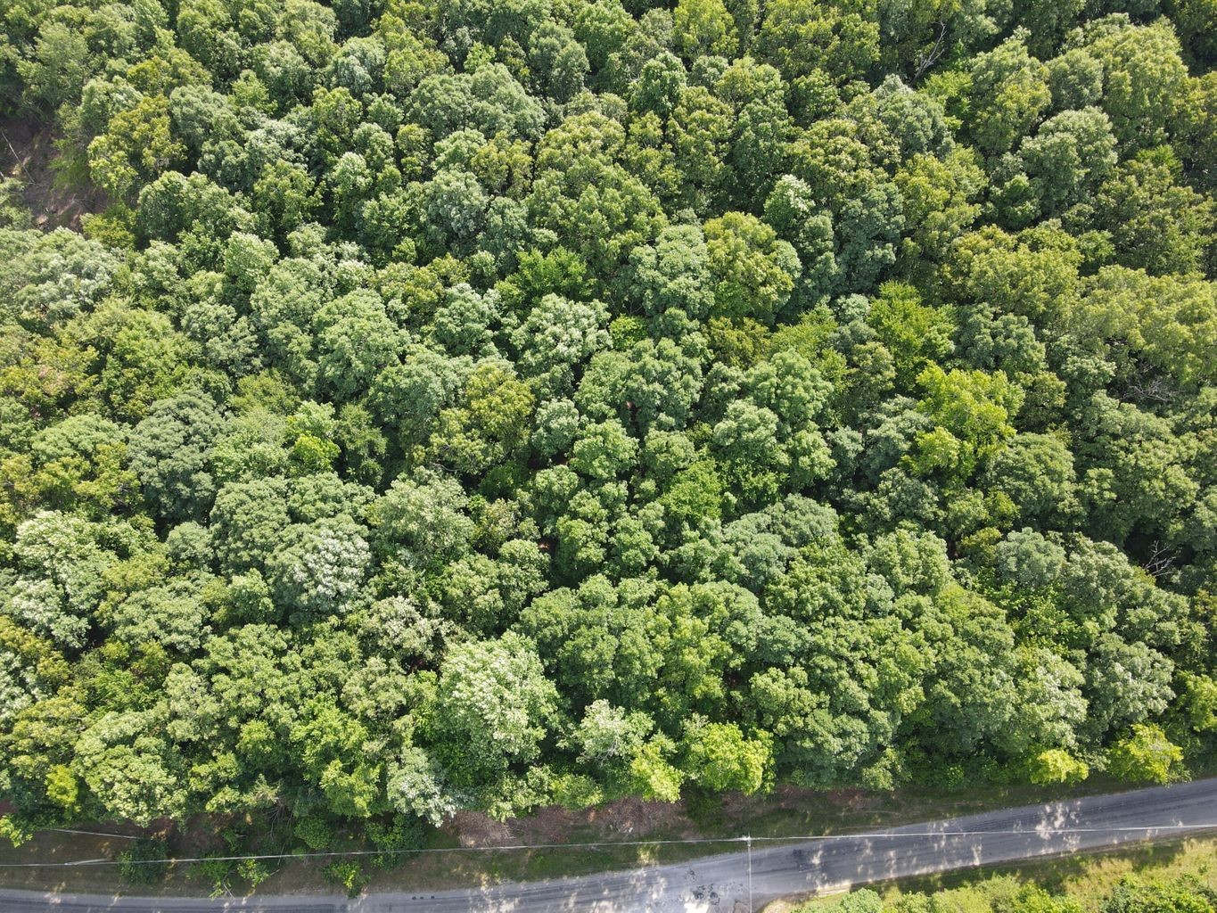 3 Jackson Point Road Sewanee, TN 37375 - Photo 20 of 26 Gallery Image 20