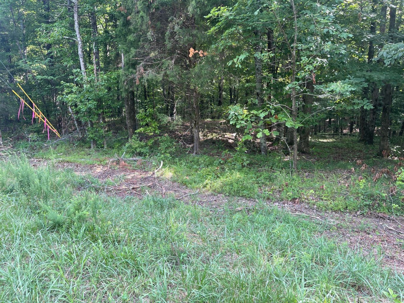 3 Jackson Point Road Sewanee, TN 37375 - Photo 21 of 26 Gallery Image 21