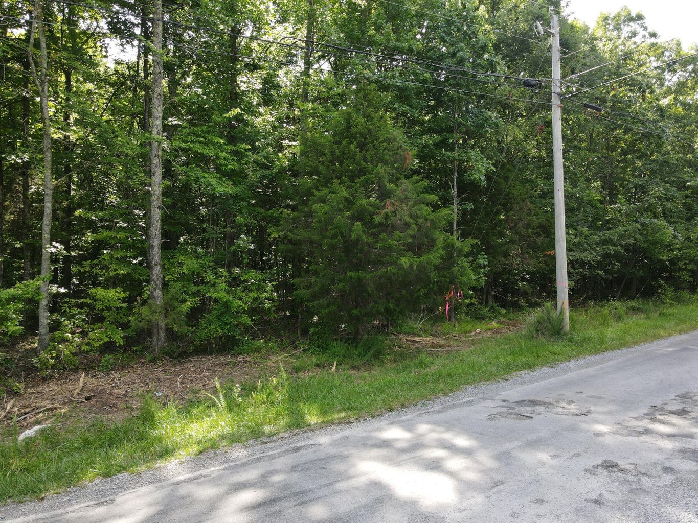 3 Jackson Point Road Sewanee, TN 37375 - Photo 23 of 26 Gallery Image 23