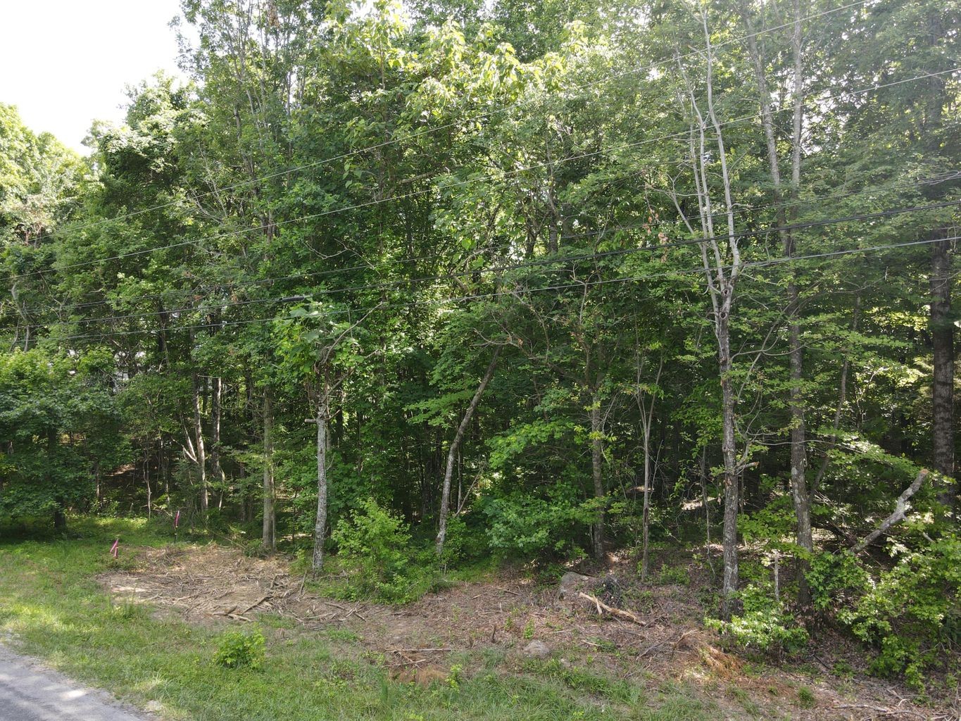 3 Jackson Point Road Sewanee, TN 37375 - Photo 24 of 26 Gallery Image 24