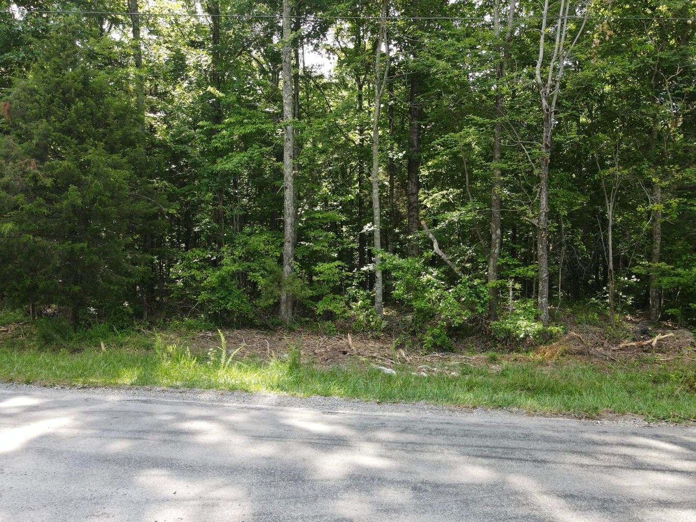 3 Jackson Point Road Sewanee, TN 37375 - Photo 25 of 26 Gallery Image 25