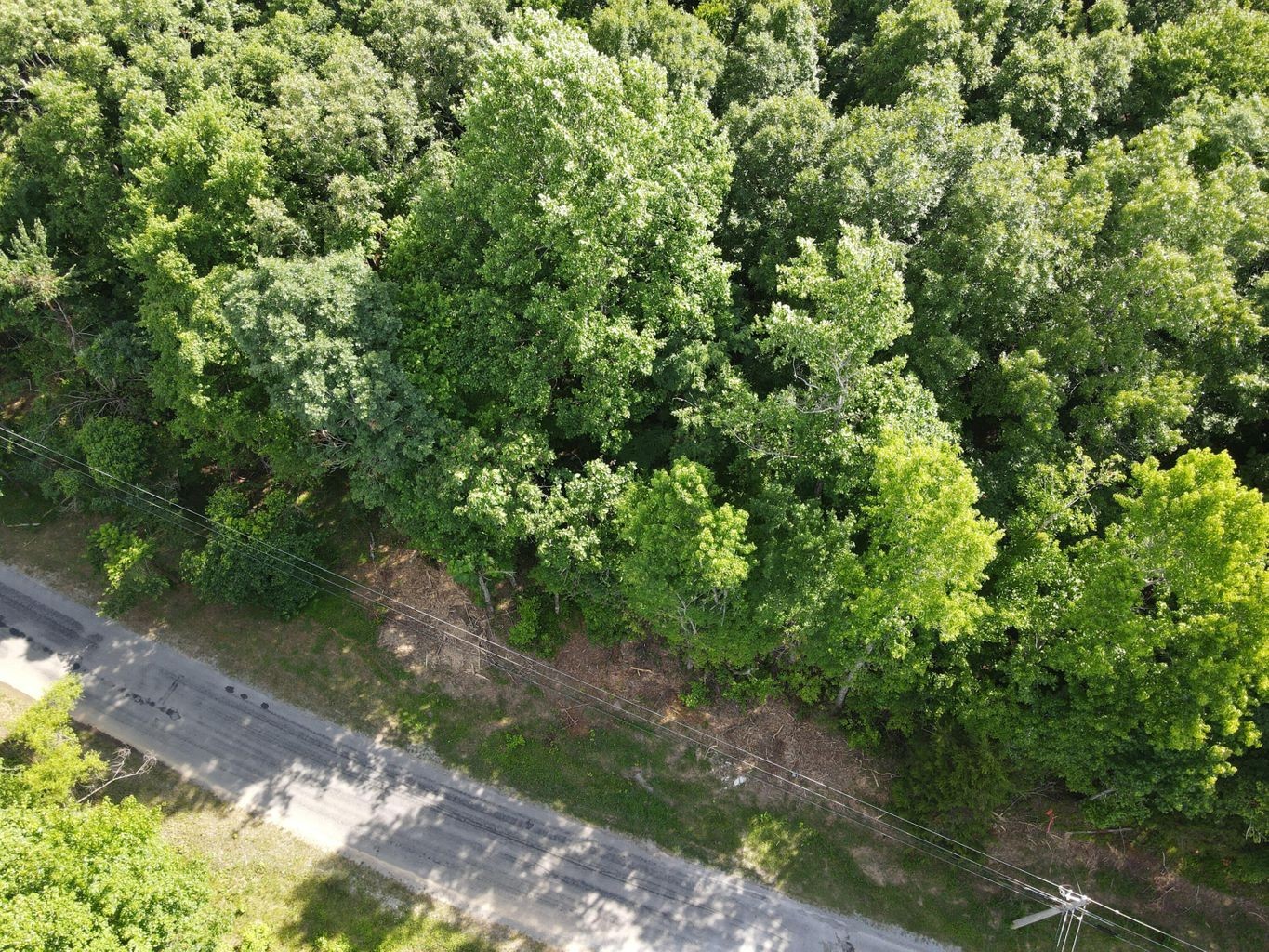3 Jackson Point Road Sewanee, TN 37375 - Photo 3 of 26 Gallery Image 3