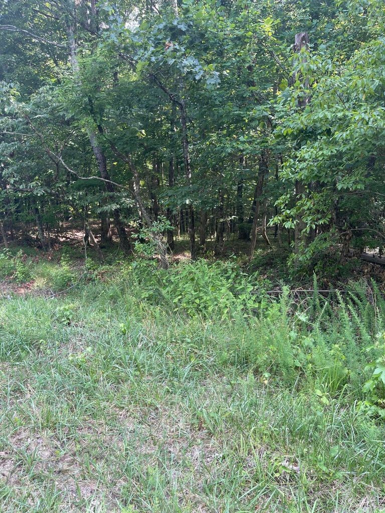 3 Jackson Point Road Sewanee, TN 37375 - Photo 6 of 26 Gallery Image 6