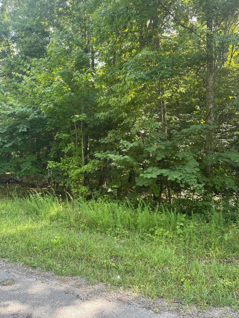 3 Jackson Point Road Sewanee, TN 37375 - Photo 7 of 26 Gallery Image 7