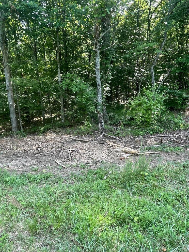 3 Jackson Point Road Sewanee, TN 37375 - Photo 9 of 26 Gallery Image 9