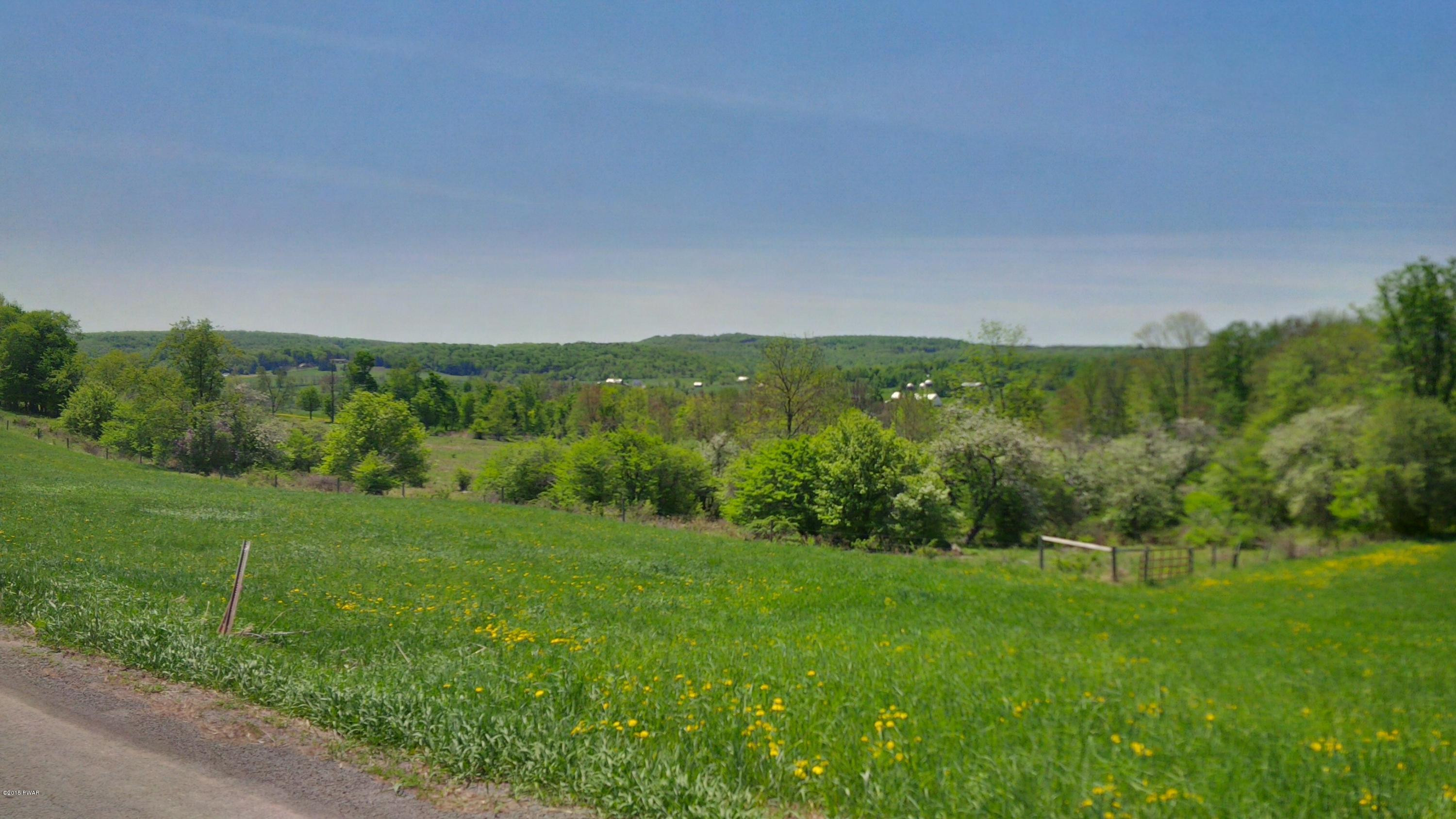 Westcott Road Tyler Hill, PA 18469 - Photo 4 of 6