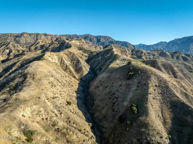 a view of a dry yard with mountains in the background