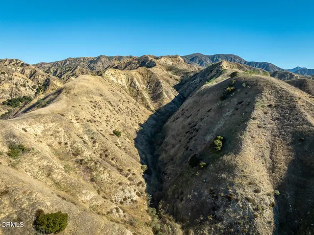 a close view of backyard of a house