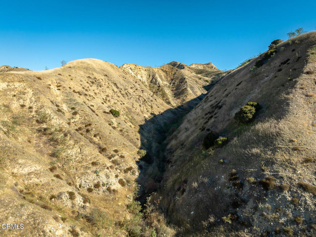 9701 Foothill Boulevard Lakeview Terrace, CA 91342 - Photo 16 of 51 a view of a large tree with a yard