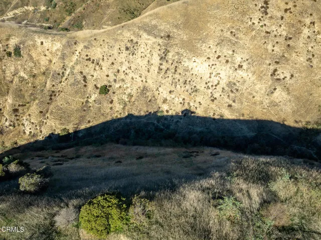 a close up of a snow on the snow
