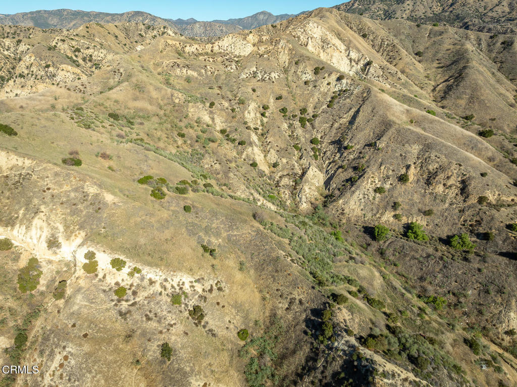 9701 Foothill Boulevard Lakeview Terrace, CA 91342 - Photo 28 of 51 a view of a yard of a building