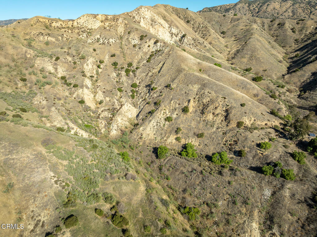 9701 Foothill Boulevard Lakeview Terrace, CA 91342 - Photo 40 of 51 a view of a dry yard with mountains