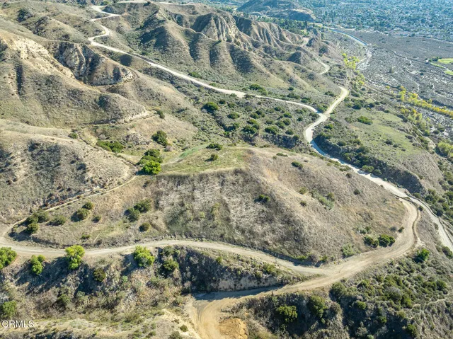 a view of a tree in a yard