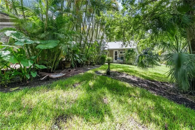 a view of a backyard