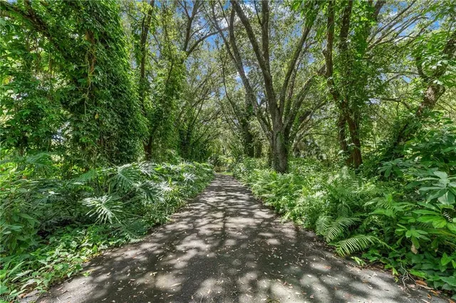 a big yard with lots of green space and trees
