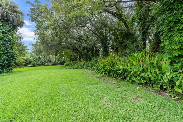 a view of yard with green space