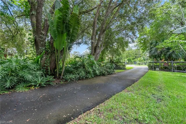 a view of a street with a trees