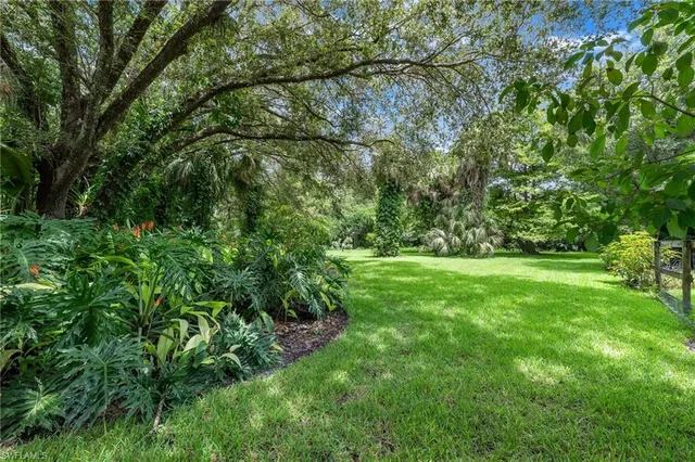 a view of yard with green space