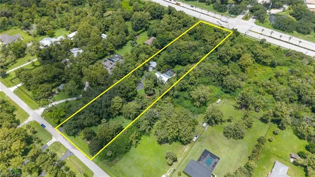 a view of a lush green forest