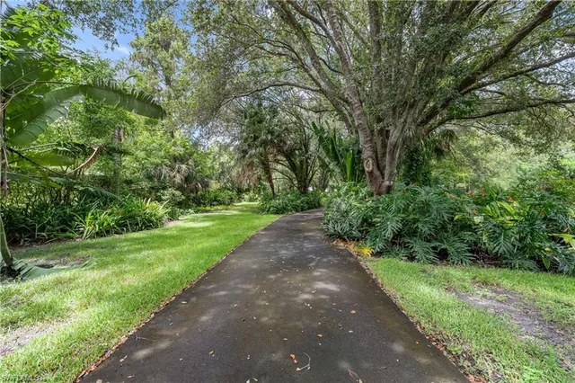 a view of a park with large trees