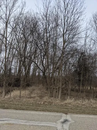 $11,800 | Tbd East Main Street, Maple Rapids, MI 48853