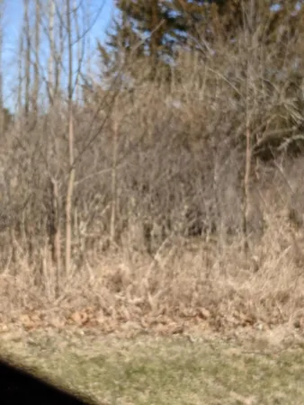 $11,800 | Tbd East Main Street, Maple Rapids, MI 48853