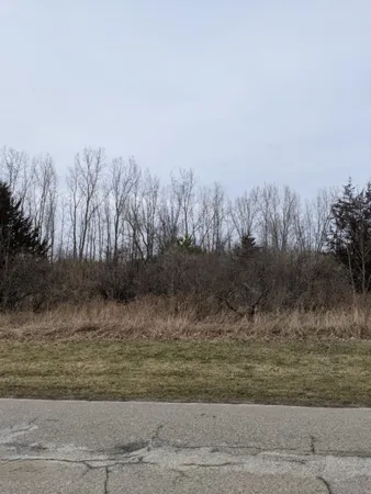 $11,800 | Tbd East Main Street, Maple Rapids, MI 48853