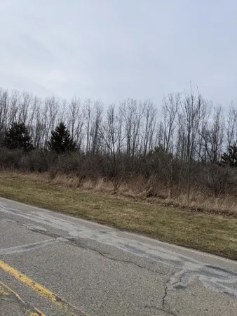 $11,800 | Tbd East Main Street, Maple Rapids, MI 48853