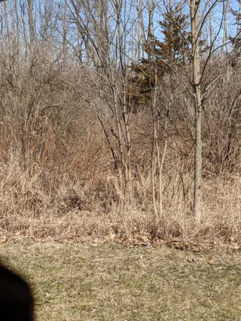 $11,800 | Tbd East Main Street, Maple Rapids, MI 48853