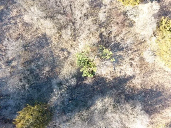 $11,800 | Tbd East Main Street, Maple Rapids, MI 48853